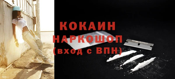 спайс Алзамай