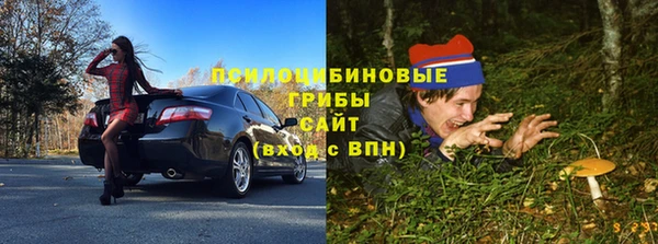 спайс Алзамай