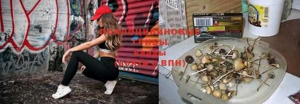 спайс Алзамай