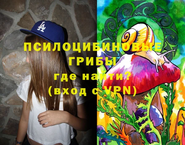 спайс Алзамай