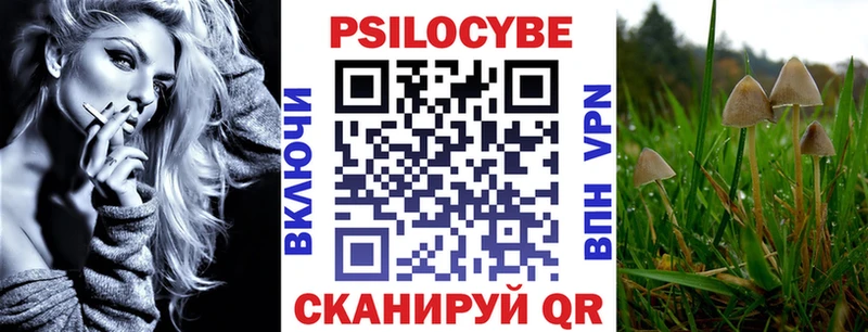 ссылка на мегу сайт  Борзя  Псилоцибиновые грибы Psilocybine cubensis  наркотики 